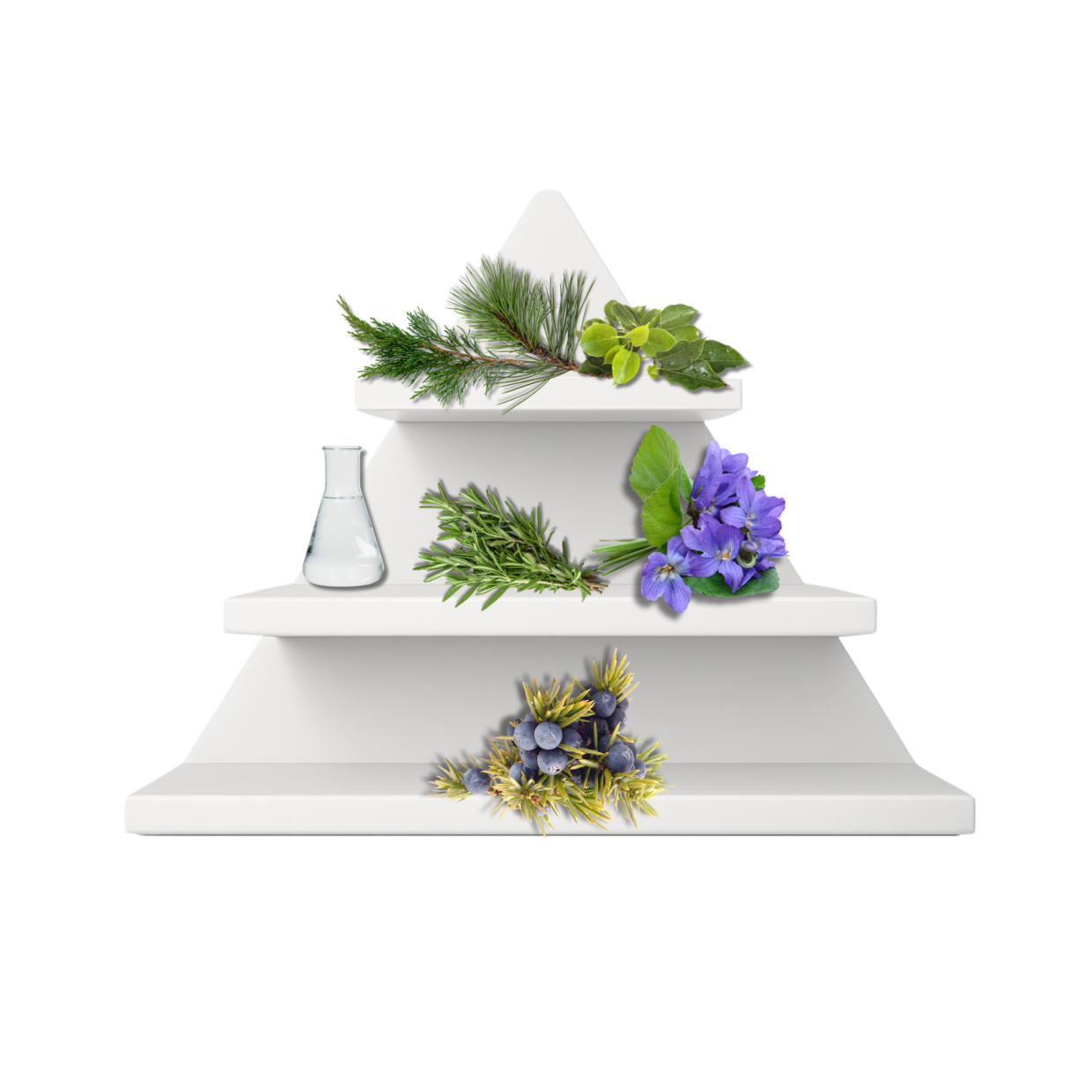 Gatsby Essence Duftpyramide